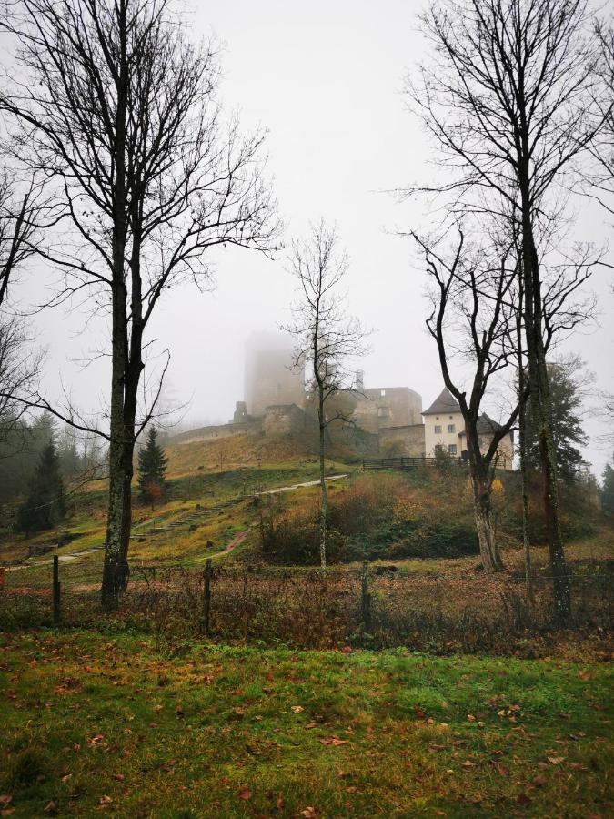 Penzion Landstejnsky Dvur Slavonice Exterior foto